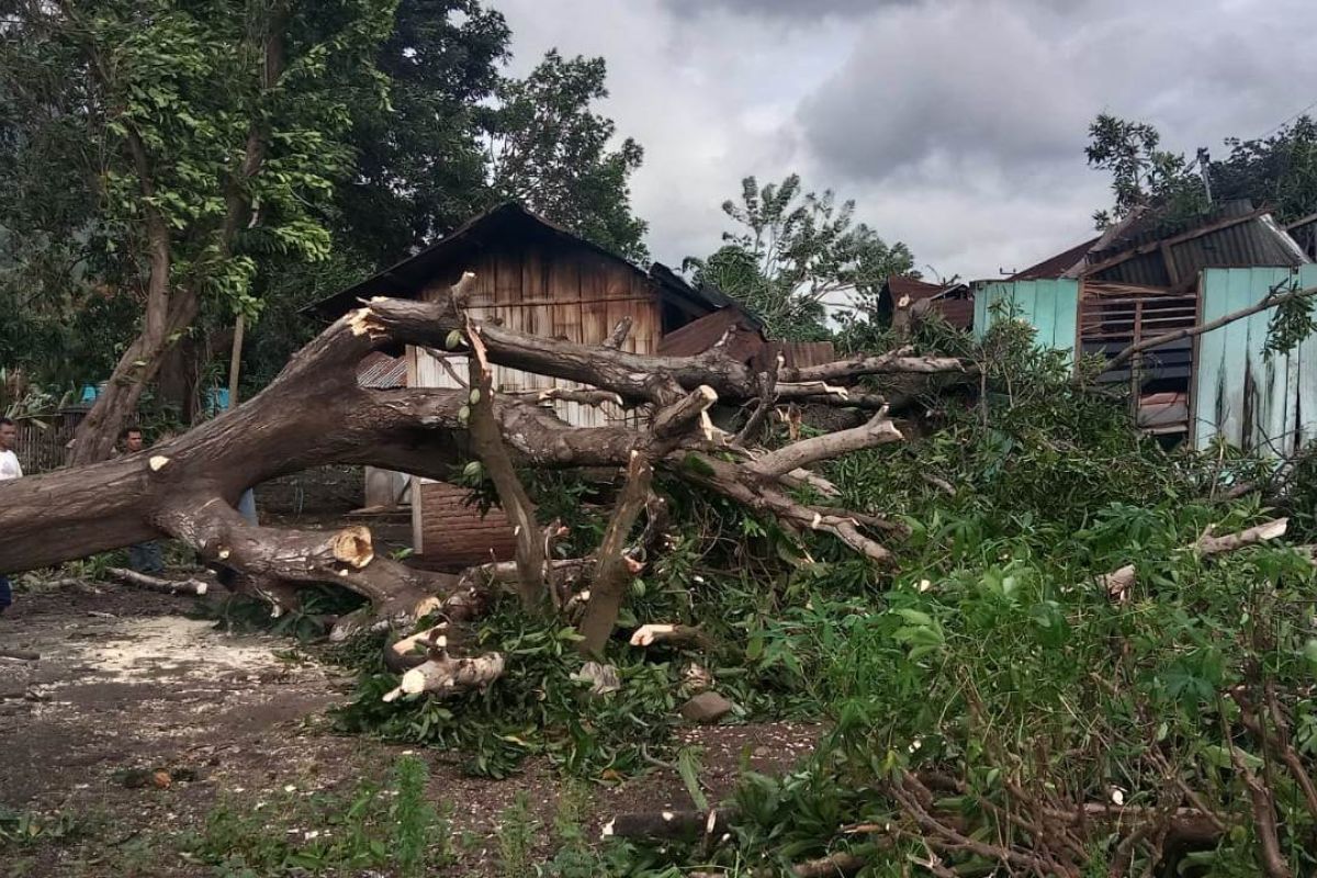 Masyarakt NTT  diimbau waspadai aktifnya angin muson timur