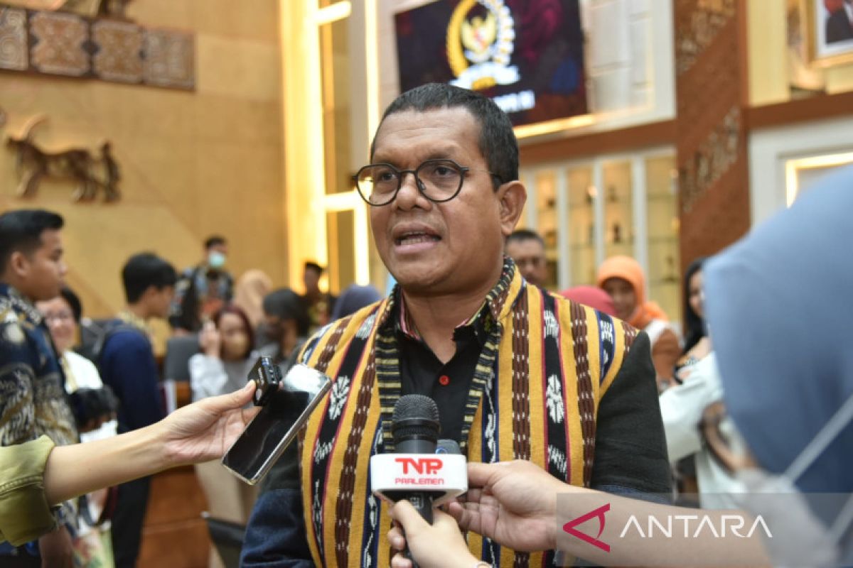 DPR RI: RUU Kesehatan tidak hapus organisasi profesi