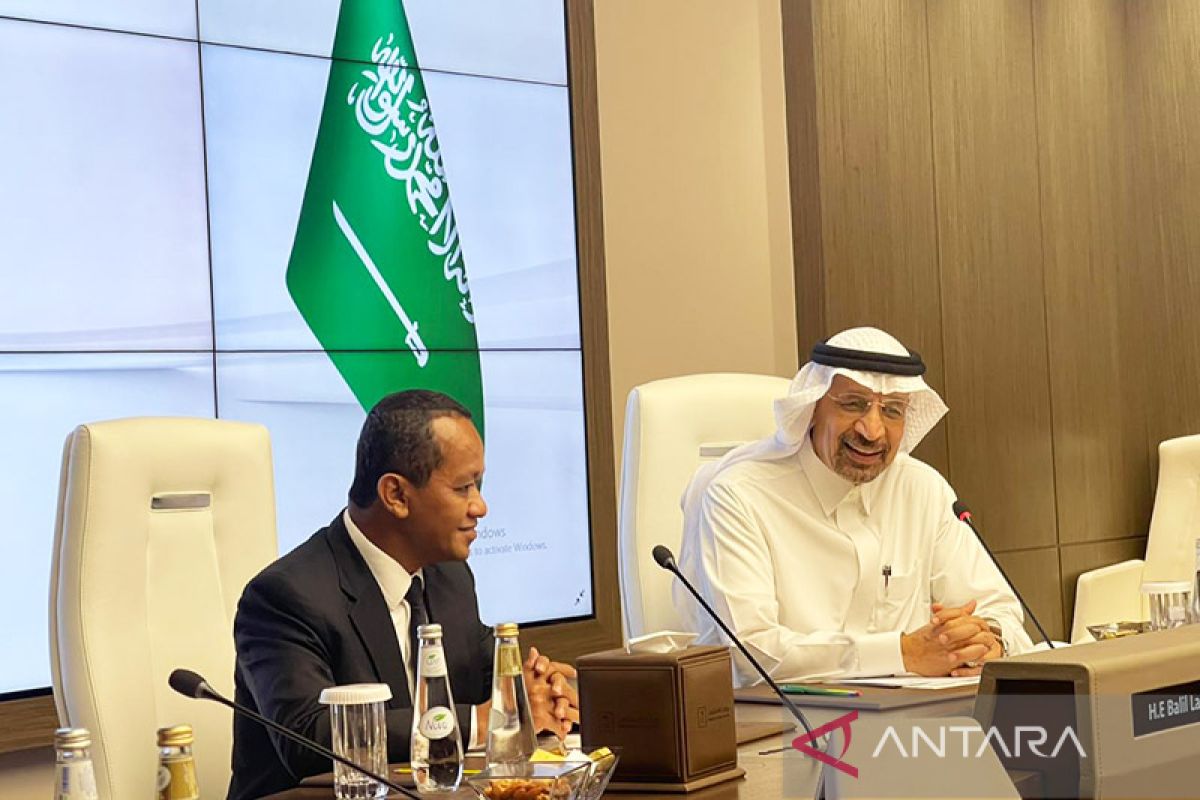 Indonesia, Saudi Arabia discuss renewable energy investment