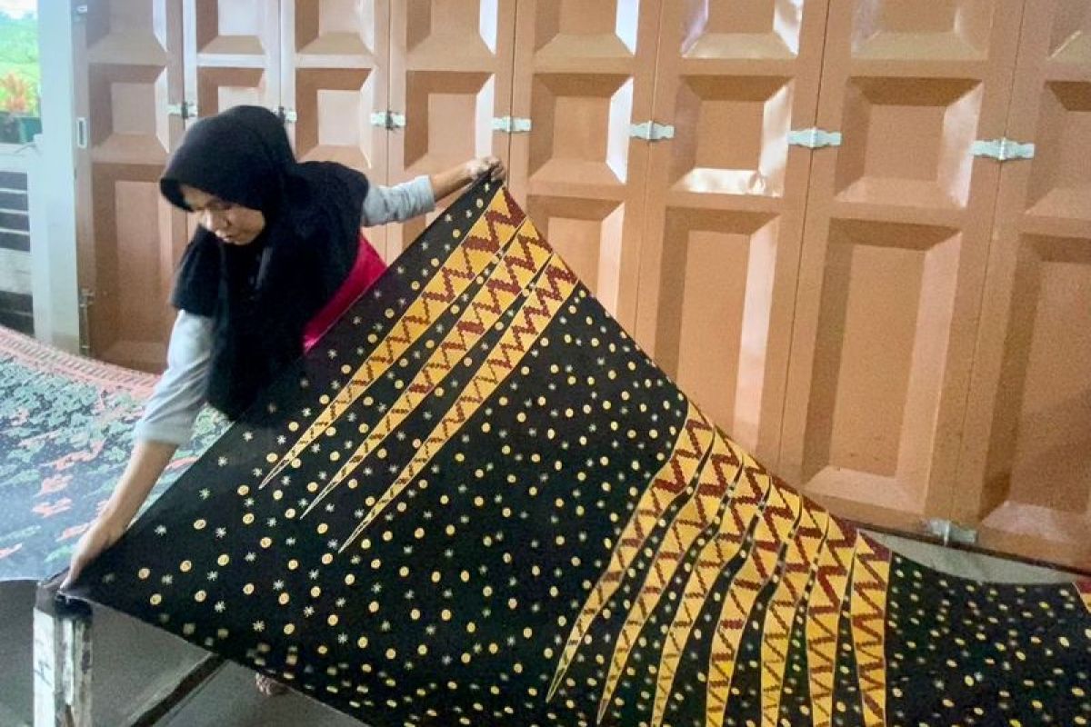 Kaum milenial Lampung makin minati batik bermotif eksklusif