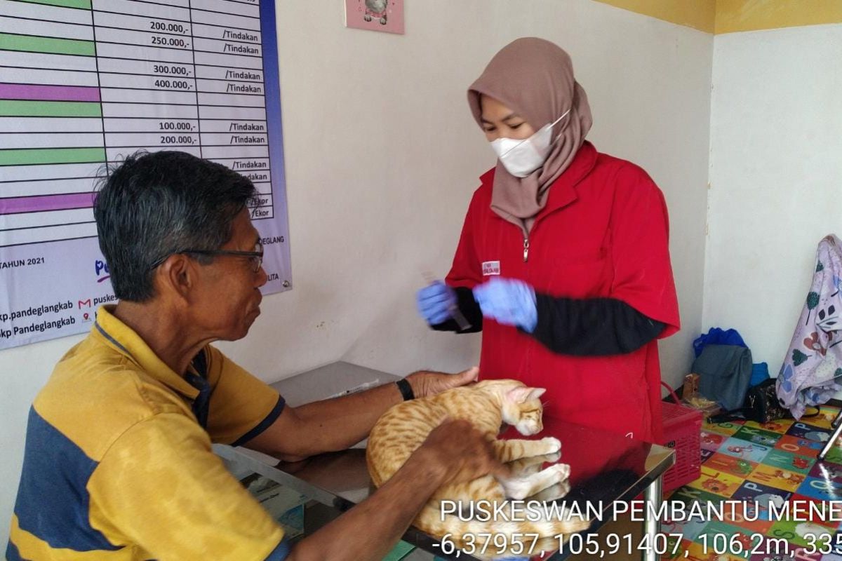 Drh.Yuyun Fathonah : Vaksinasi menjaga kualitas kesehatan hewan peliharaan