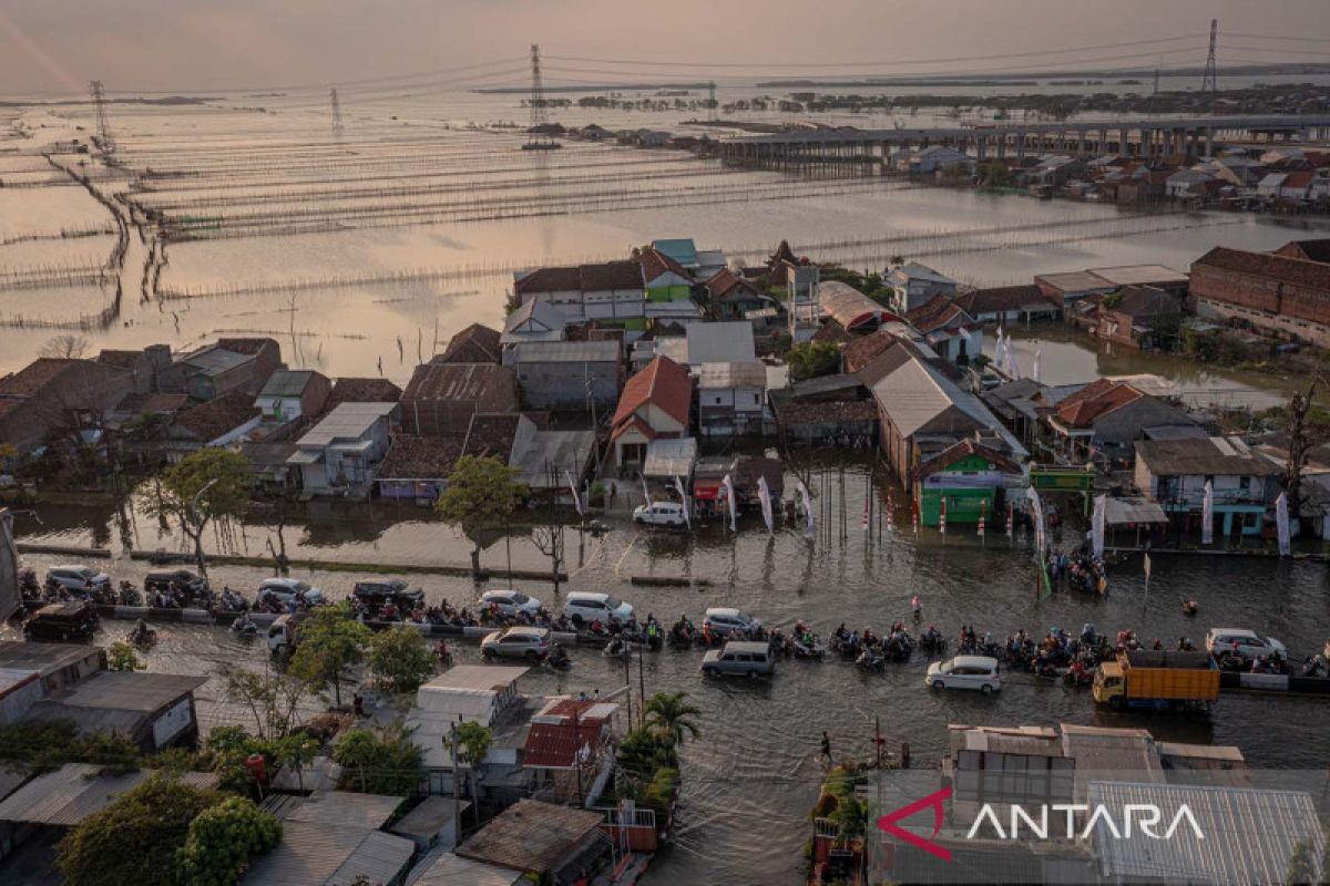 Banjir Rob Merendam Jalur Pantura Demak KM 10 - ANTARA News