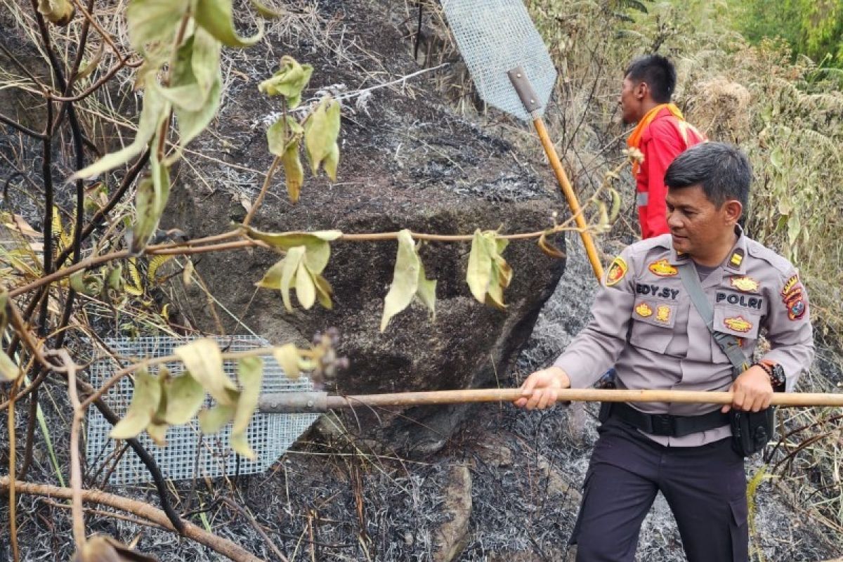 10 hektare lahan di Dusun Dolok Maria Simalungun terbakar