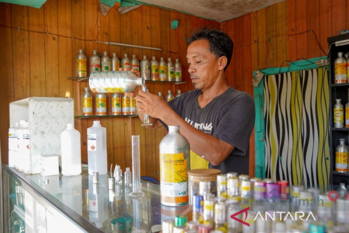 Jadi Mitra Binaan PT Timah Tbk, Usaha Parfum Milik Dewi Bisa Buka Cabang Baru dan Tambah Varian Ratusan Aroma