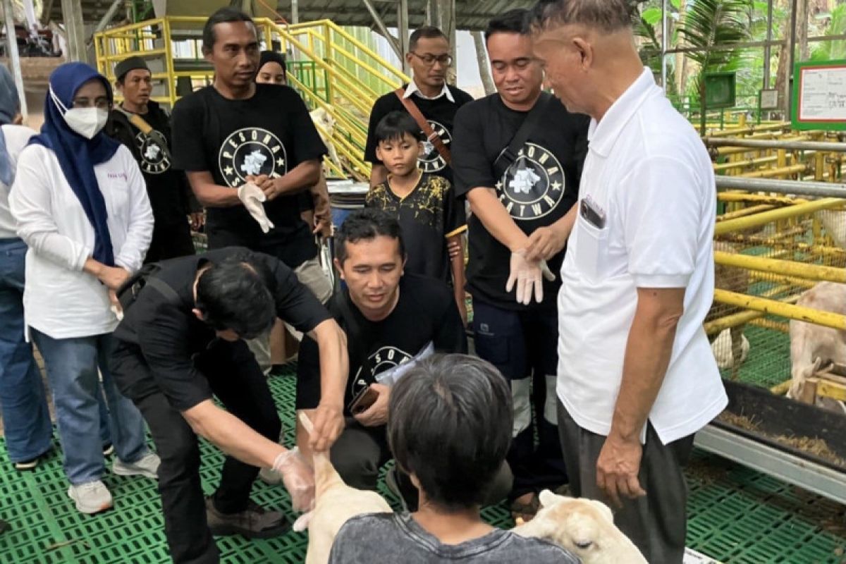 FKH Unair membantu tingkatkan produktivitas peternakan kambing di Bandung