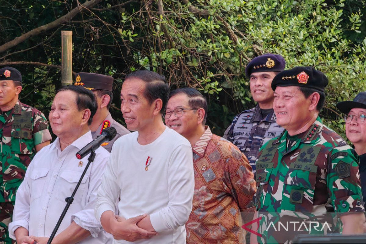 Presiden Jokowi apresiasi penanaman serentak rehabilitasi hutan mangrove