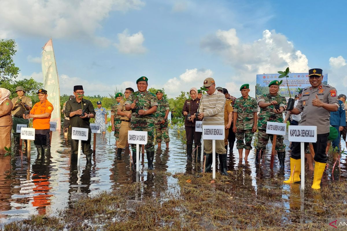 Provinsi Bengkulu tanam 1.000 mangrove bersama jajaran TNI