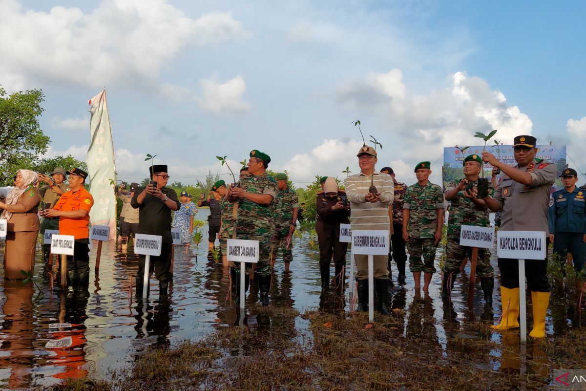 Gubernur Bengkulu: Mangrove sangat penting bagi generasi masa depan