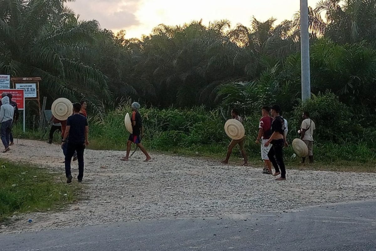 Pekerja kebun di Siak kembali bentrok dengan PT DSI, tiga orang luka-luka