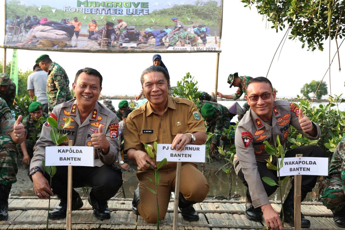 Pemprov Banten dukung kegiatan  penanaman mangrove serentak