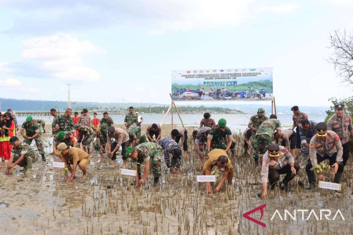 TNI-Polri tanam 5.000 pohon mangrove di pesisir pantai Baubau