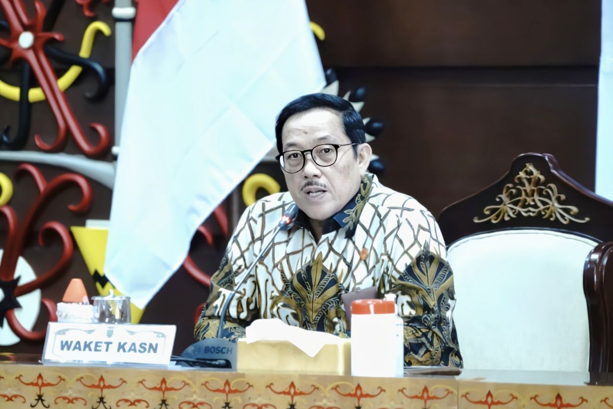 Wakil Ketua KASN: Sistem merit lindungi karir ASN dari politisasi