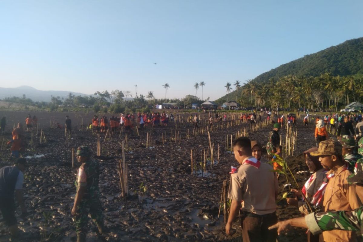 Sebanyak 2.000 bibit mangrove ditanam di Pantai Soro Dompu