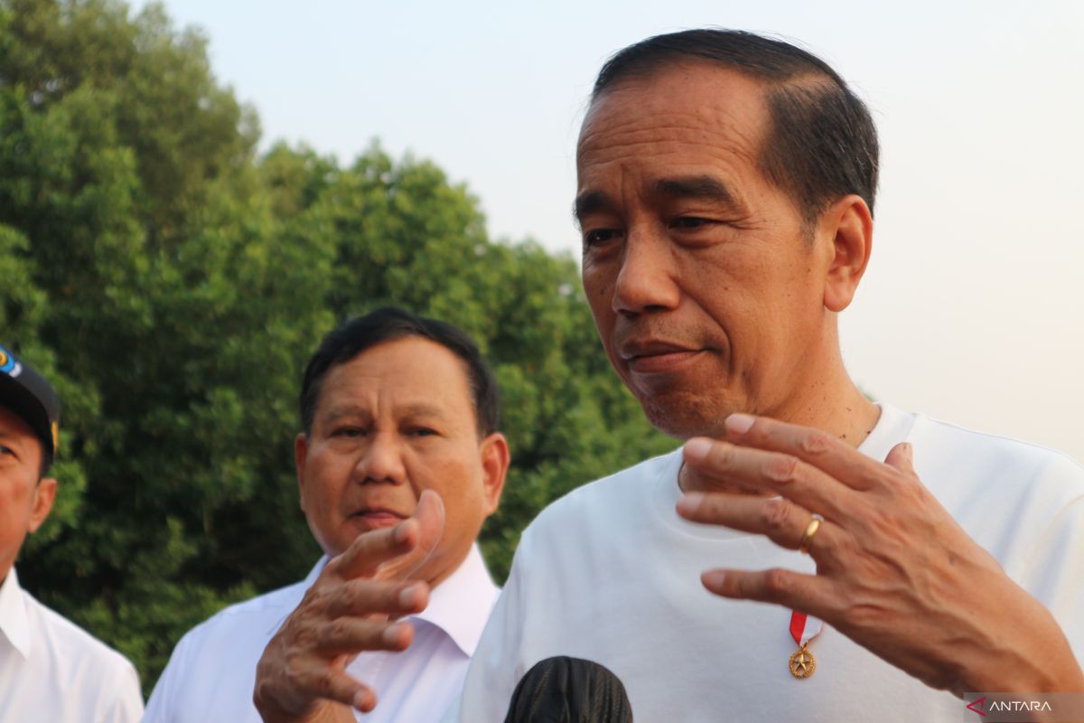Jokowi: situasi di Papua tidak semudah di Jakarta