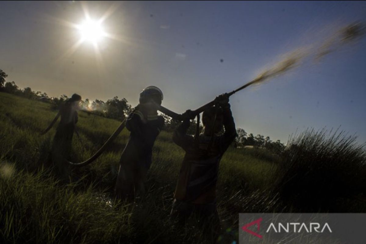 Temukan titik api, BPBD Kalsel tingkatkan status siaga Karhutla