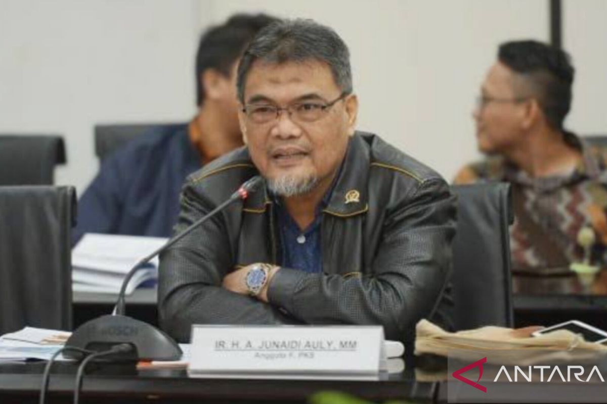 Anggota DPR asal Lampung minta pemerintah tingkatkan keamanan siber di perbankan
