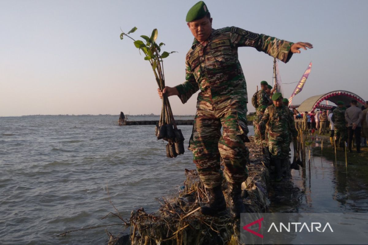 Kodim Jepara gandeng masyarakat tanam mangrove cegah abrasi