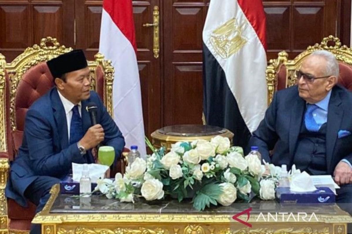 Hidayat Nur Wahid harap hubungan Indonesia-Mesir semakin kuat di masa mendatang