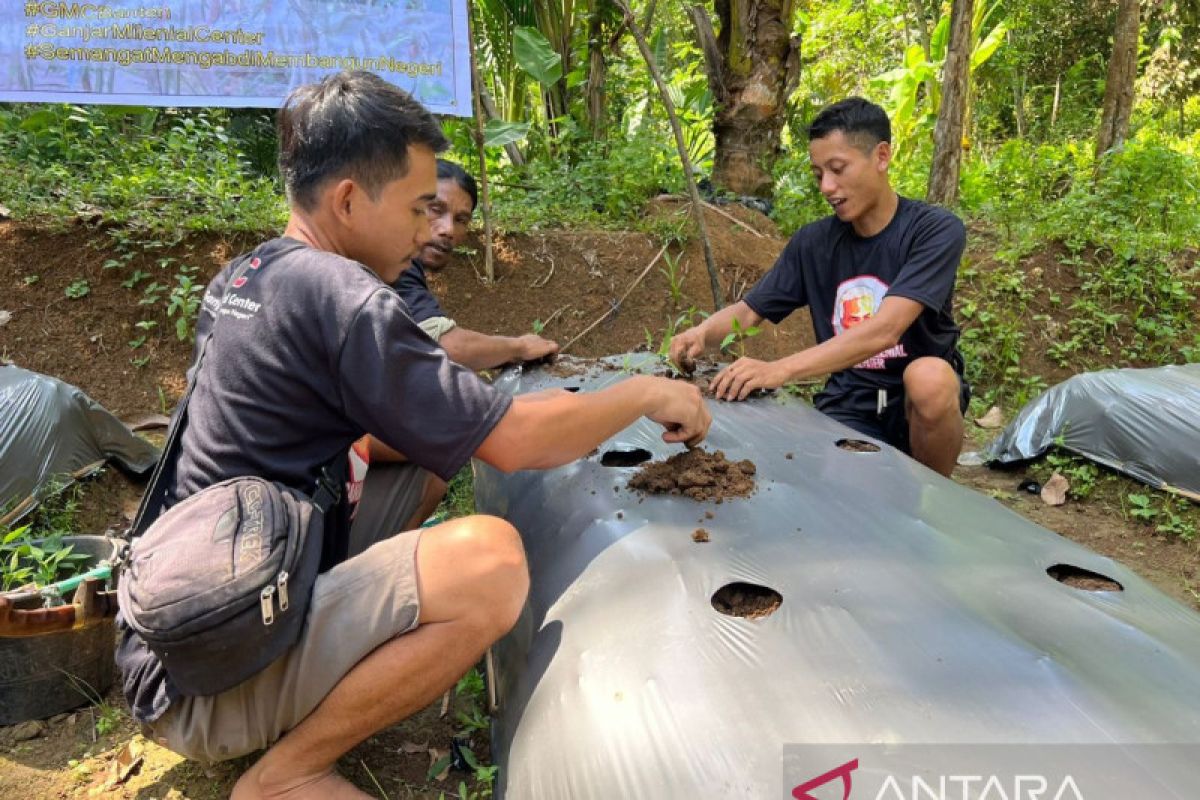 Ganjar Milenial Center Bersama Sejumlah Organisasi Ajak Warga Cara Budi Daya Cabai di Lahan Kosong