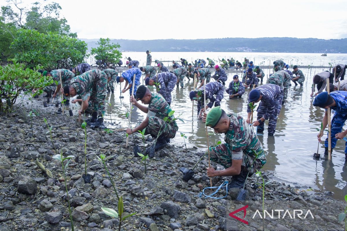 Kodam Pattimura tanam 2.000 bibit mangrove  guna sukseskan rekor Muri