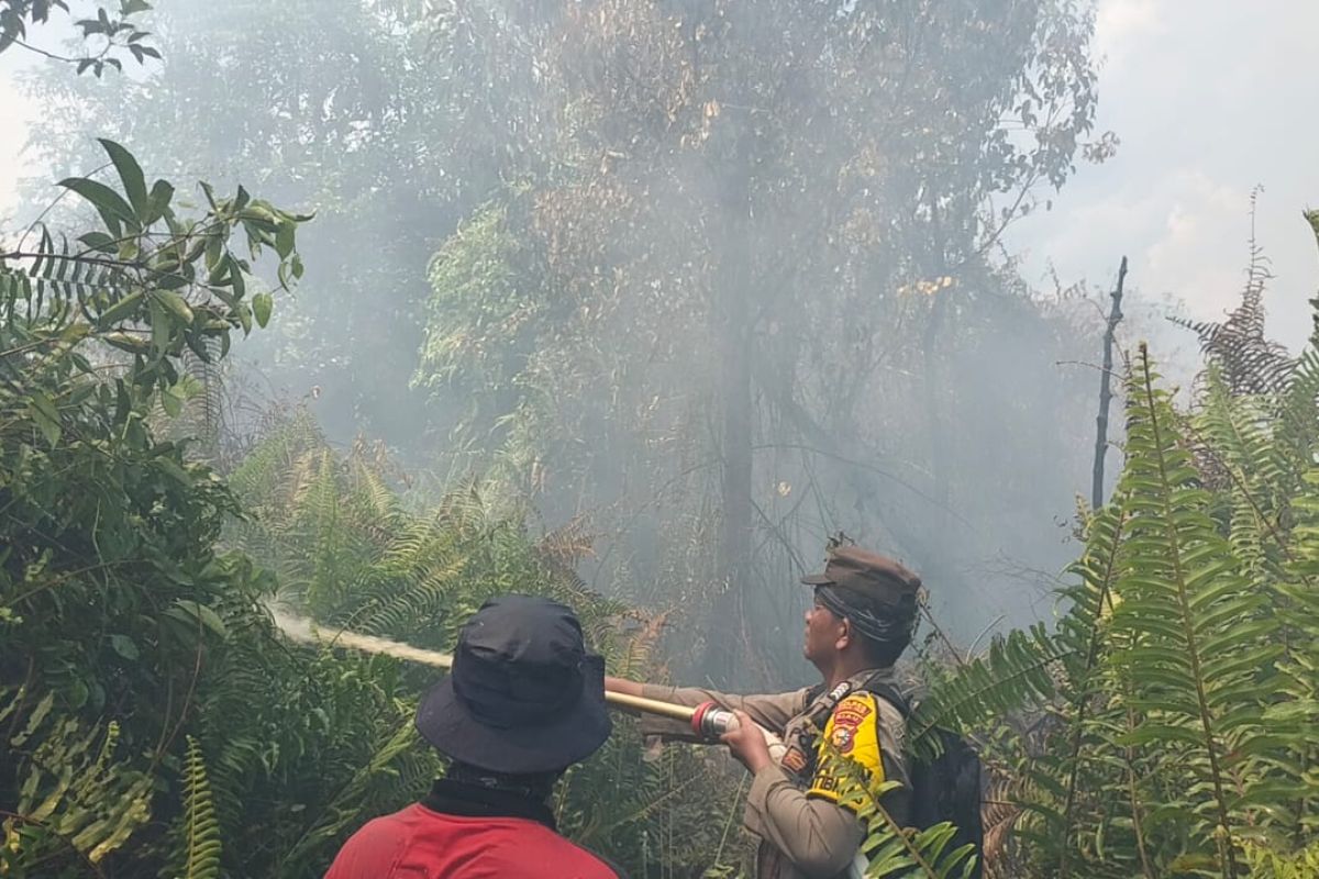 Petugas gabungan padamkan 5 hektare lahan terbakar dalam sepekan