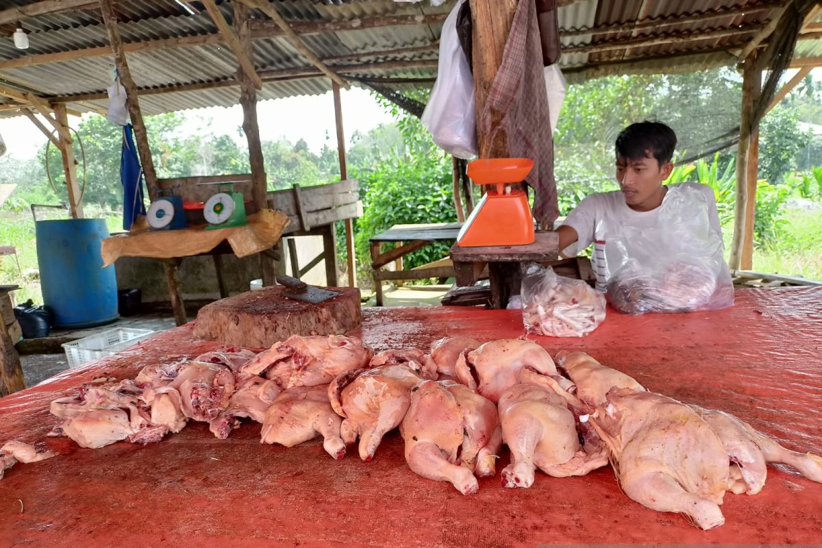 Harga ayam potong di pasar tradisional Batanghari naik