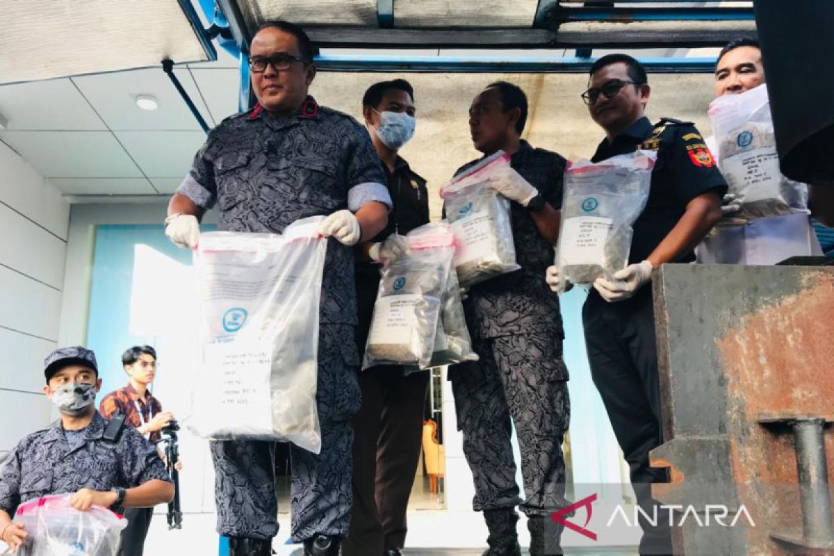 BNNP Bali musnahkan 10 kilogram ganja kering hasil sitaan April-Mei