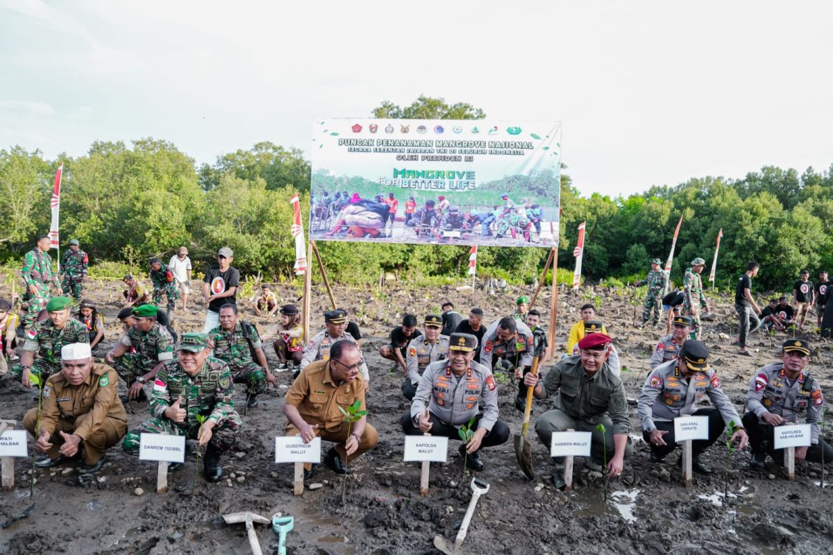 Kapolda pimpin puncak penanaman mangrove di Halmahera