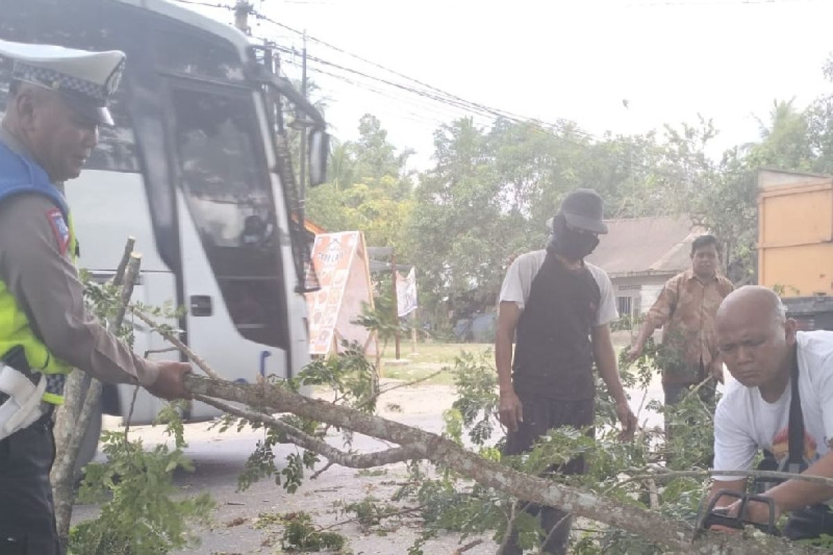 Aksi tanggap Satlantas Polres Batubara bersihkan pohon tumbang tutupi jalan
