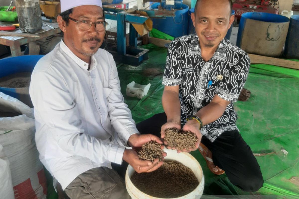 Pokdakan di Mega Timur hadirkan pakan ikan lokal memutus ketergantungan produk pabrikan