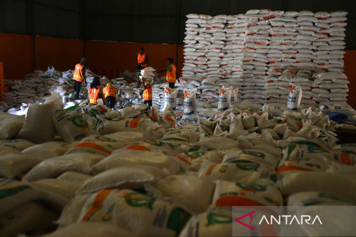 FOTO - Realiasasi serapan beras hasil panen raya di Aceh