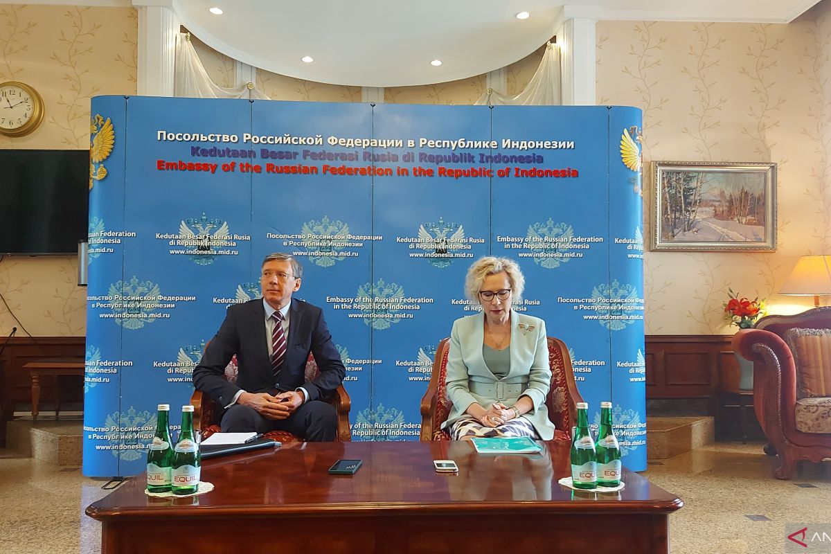 Russian ambassador unveils EAEU-Indonesia's negotiation on free trade