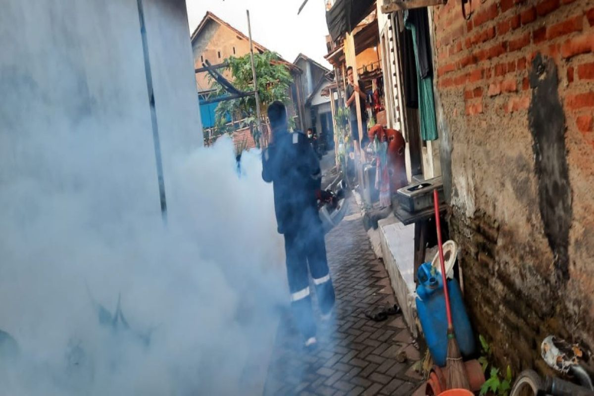 Pemkot Pekalongan imbau warga waspada penyebaran demam berdarah