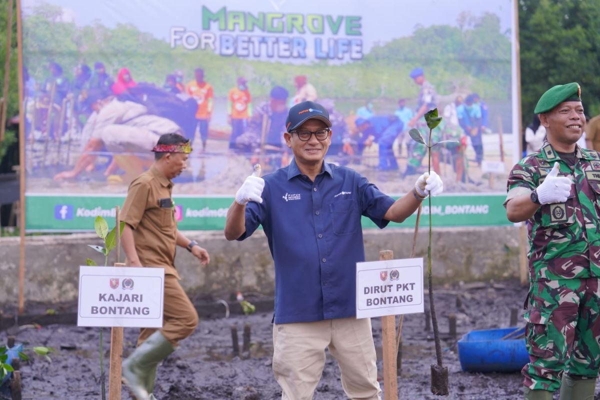 Pupuk Kaltim salurkan 10.000 bibit mangrove untuk selamatkan pesisir