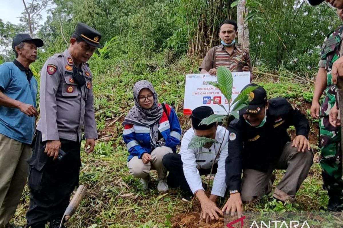 Pertamina Patra Niaga Regional Jawa Bagian Barat Kolaborasi Program ARBORETUM 