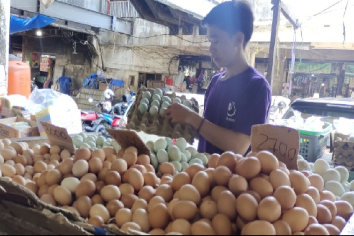Tekan harga, pedagang telur di Banjarmasin berharap pasokan lancar
