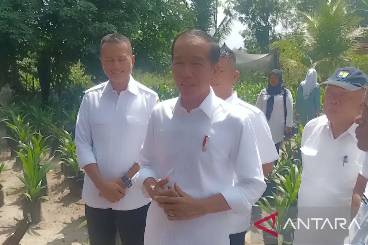 Jokowi : Paling lambat Juli sudah dikerjakan