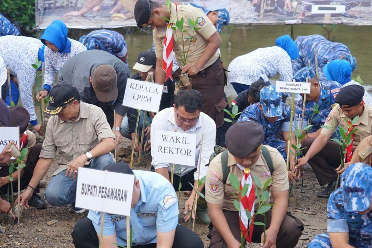 Penanaman mangrove nasional serentak di 370 lokasi