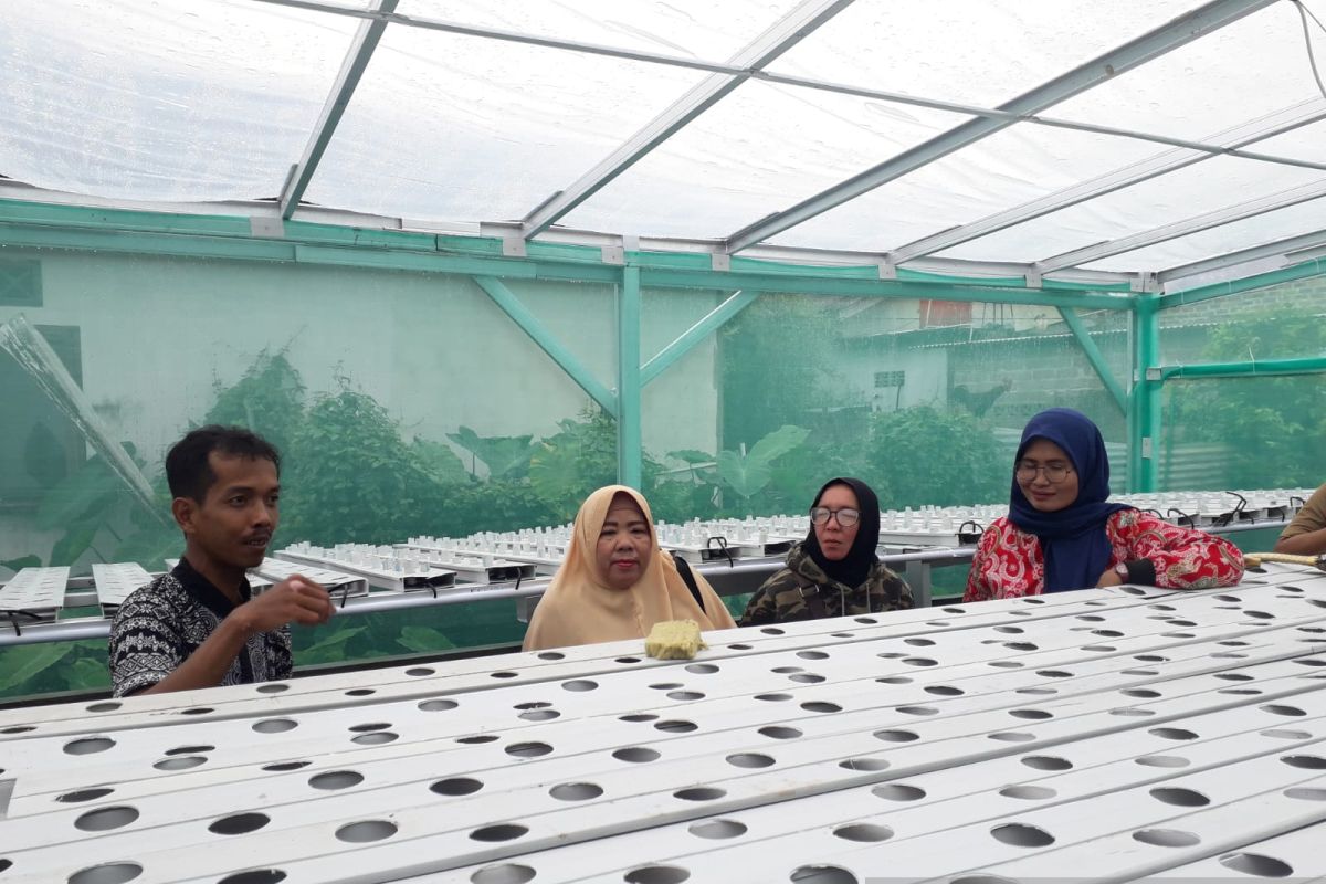 Pertamina Patra Niaga Regional Sumbagsel Beri Pelatihan Budidaya Hidroponik Ke UMKM
