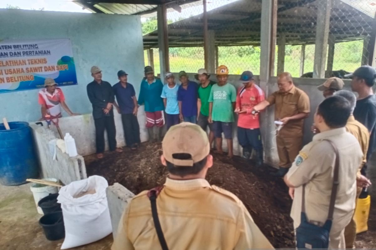 DKPP Belitung latih petani membuat pupuk organik