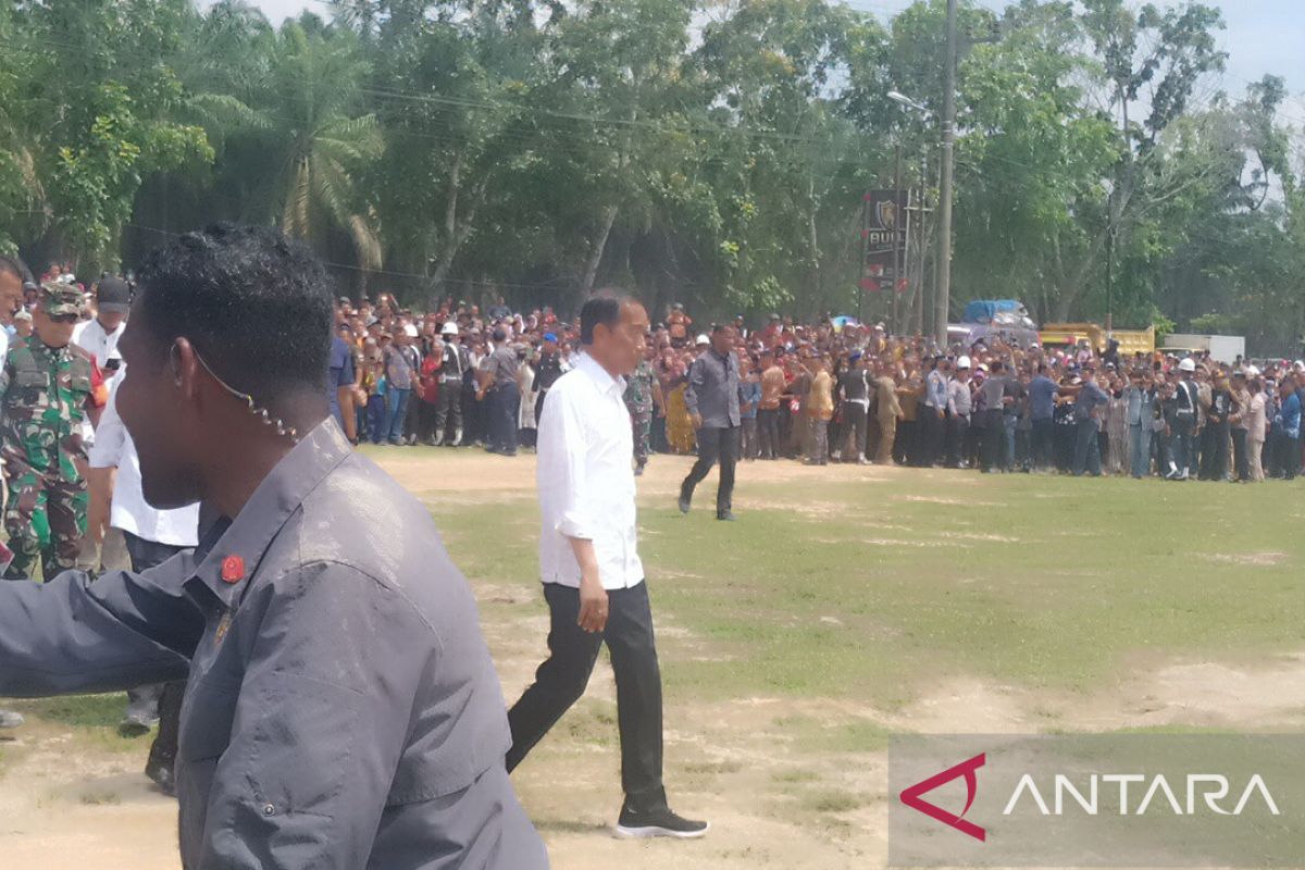 Pasca kunjungan Presiden Perlu dibentuk Tim Percepatan Pembangunan