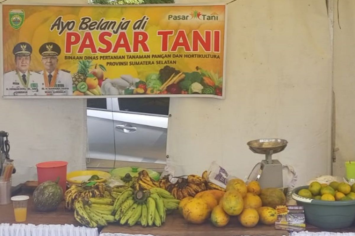 Pasar Tani tawarkan buah dan sayuran hidroponik