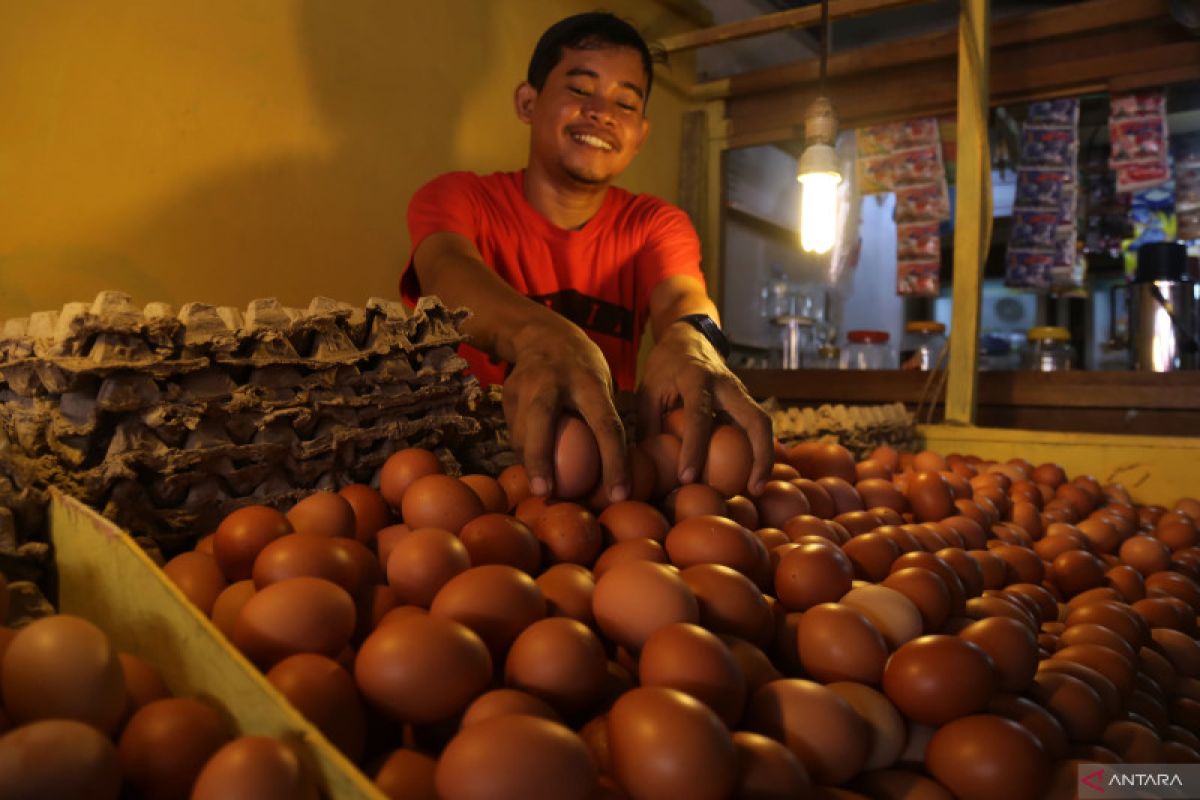 Satgas Pangan Polri identifikasi penyebab kenaikan harga telur ayam