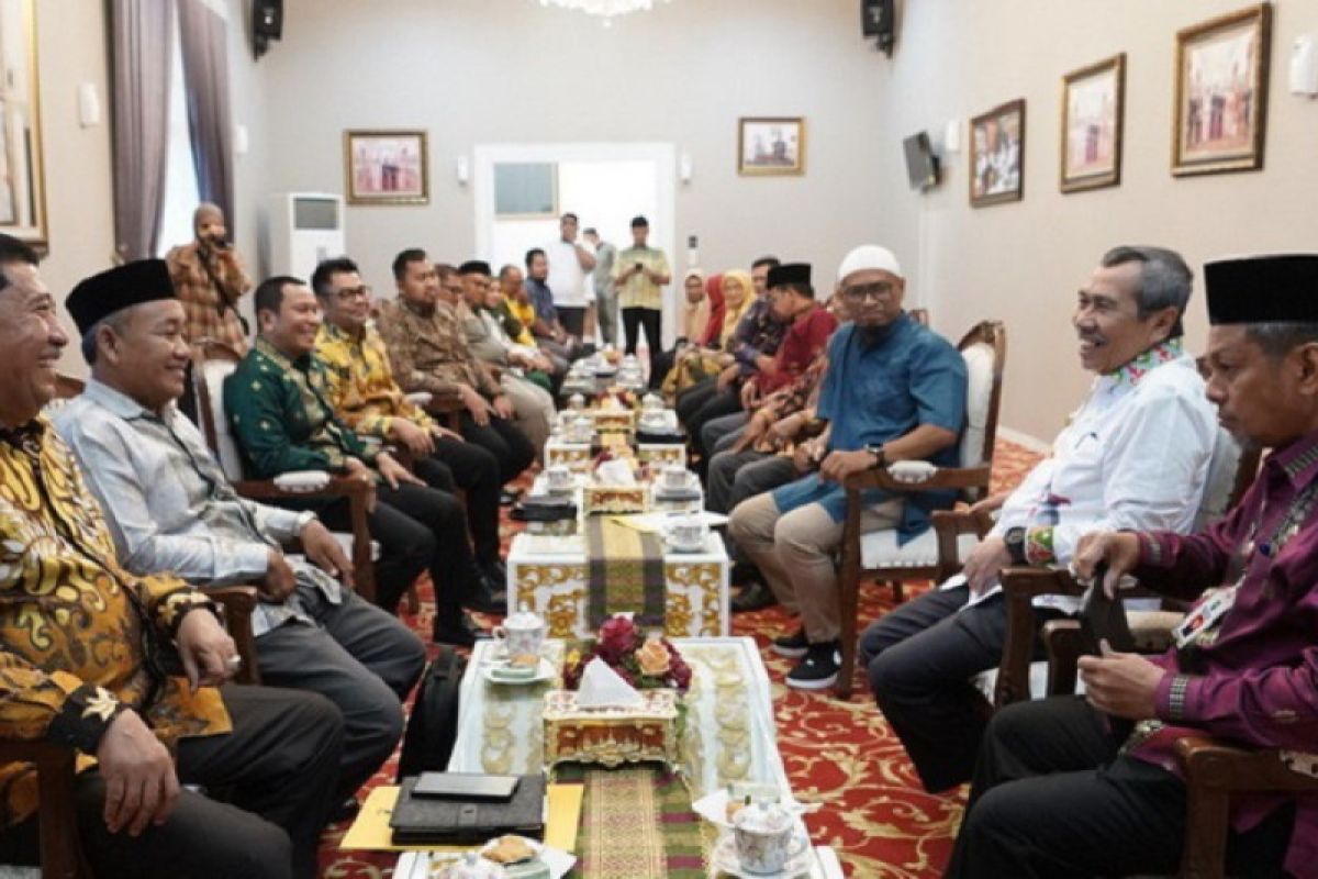 GALERI FOTO - Pesan Gubernur Riau saat terima kunjungan DMDI