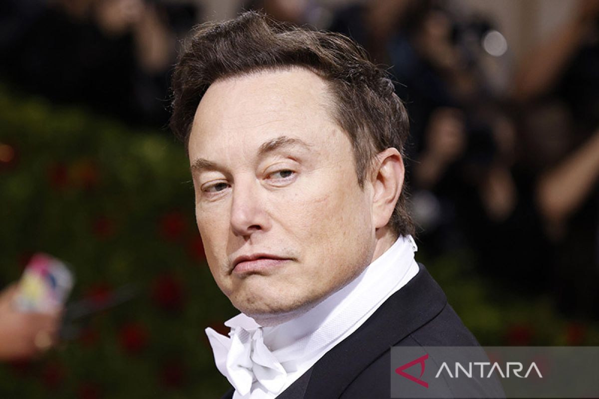 Elon Musk umumkan rencana ganti logo ikonik burung Twitter jadi 