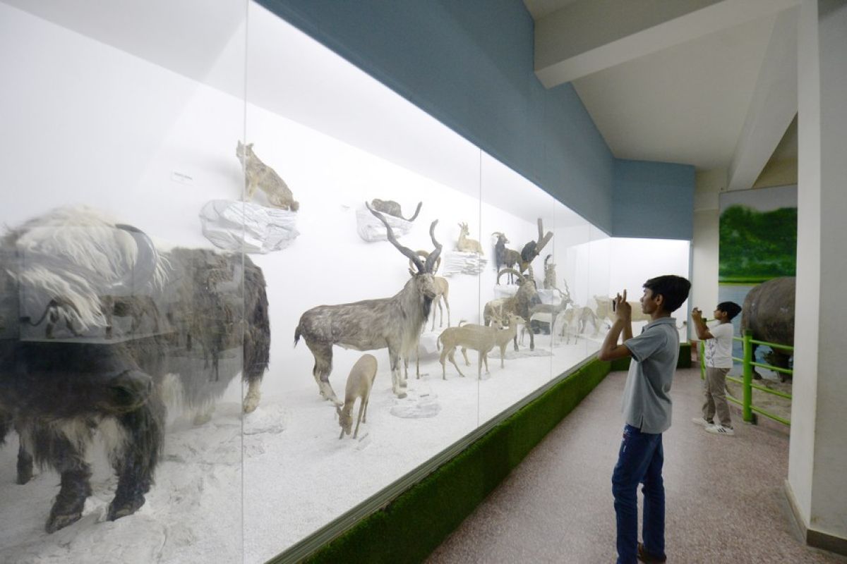 Jelajahi Museum Sejarah Alam Pakistan saat Hari Museum Internasional