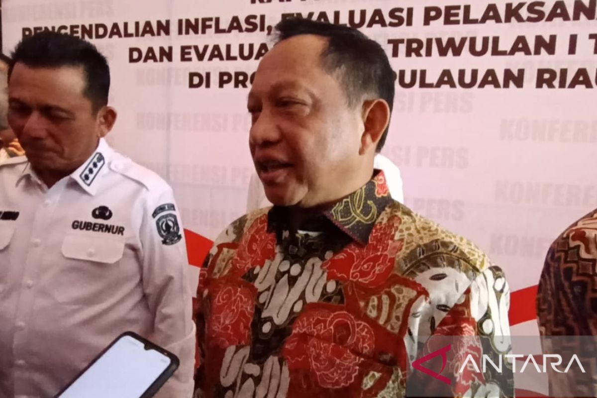 Regions in Kepri must boost investment: Home Minister