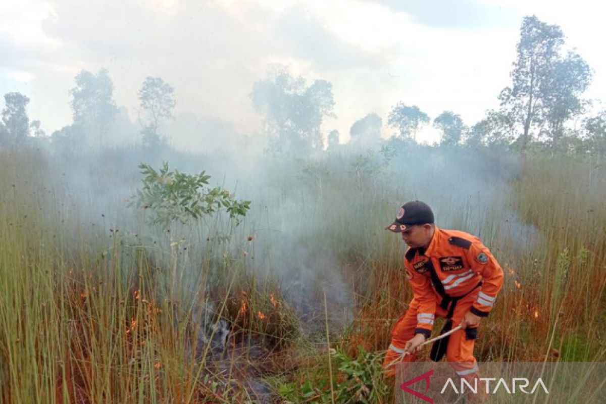 South Kalimantan increasing alert, forest and land fires hit 14 areas