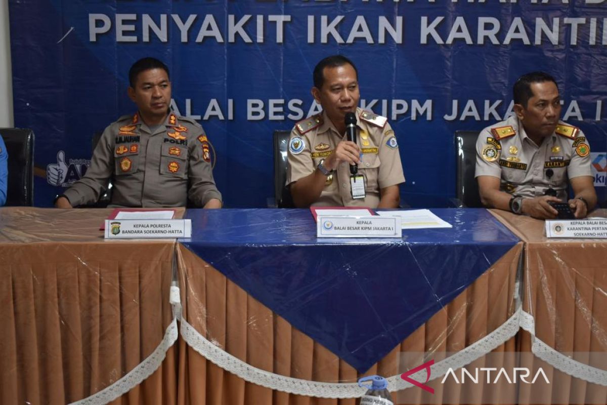 KKP musnahkan ikan koi asal Jepang yang terinfeksi virus