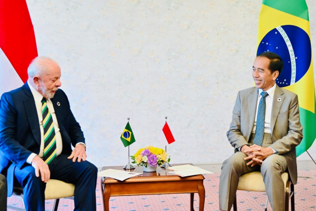 President seeks to intensify forestry partnership with Brazil